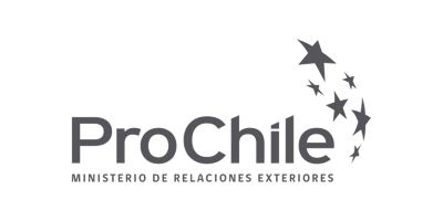 Logo-ProChile-Gris-ES